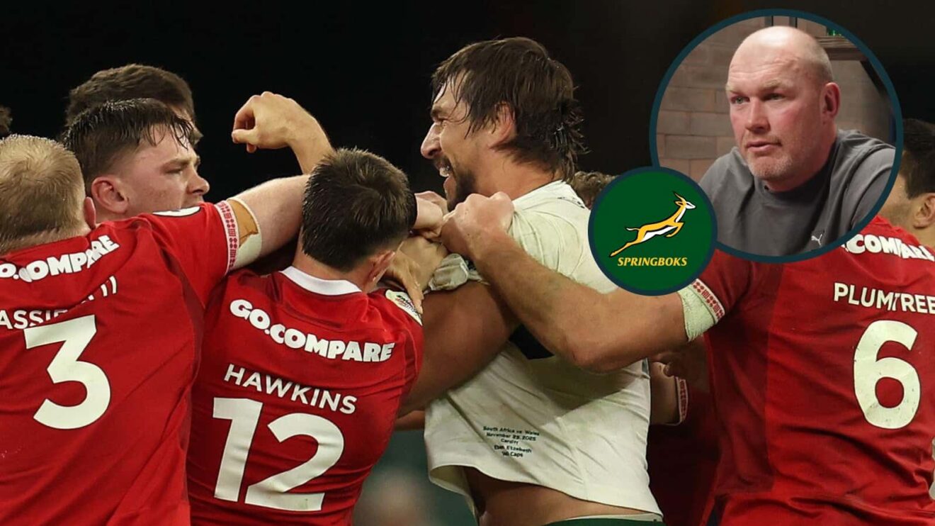 Eben Etzebeth and Alex Mann scuffle and an inset of Schalk Burger