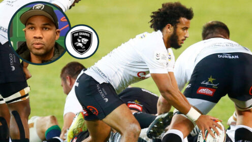 Discarded Springbok’s ‘energy and impact’ hailed after Sharks’ win over Bulls