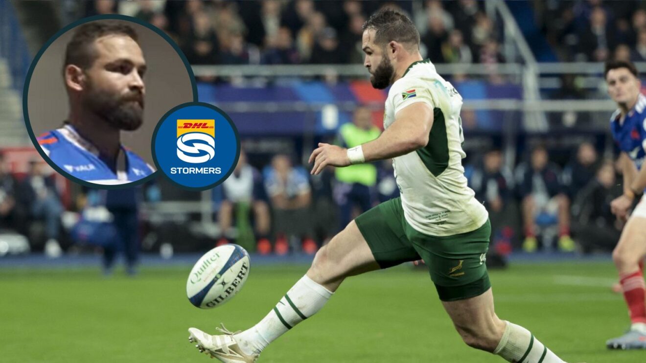 Cobus Reinach Stormers and Springboks image
