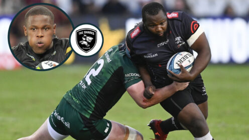 Aphelele Fassi and Ox Nche image