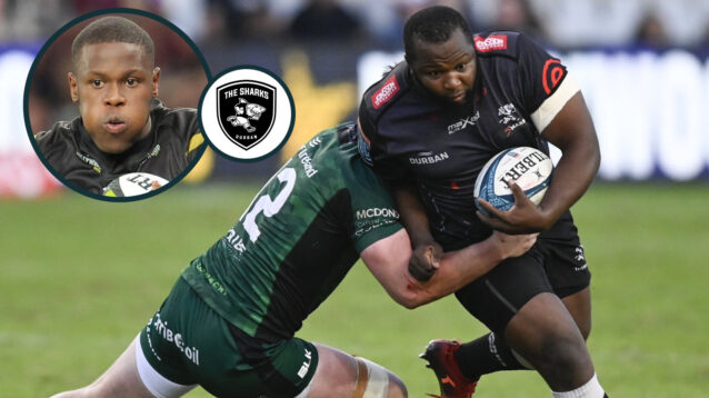 Ox Nche one of two Springboks stars to return to action for Sharks’ URC derby