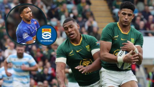 Damian Willemse, Sacha Feinberg-Mngomezulu and Suleiman Hartzenberg all start for the Stormers.