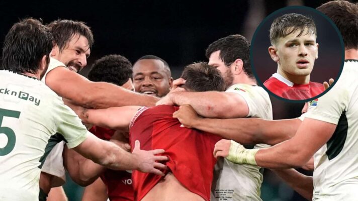 Springboks lock Eben Etzebeth eye gouging Alex Mann and an inset of the Wales flanker.
