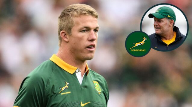 Springboks sweat over Pieter-Steph du Toit as Japan-based injuries rack up for Rassie Erasmus