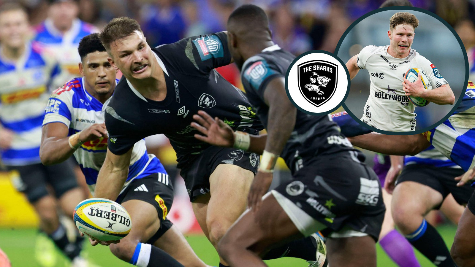 Andre Esterhuizen hails 'unbelievable' Springboks team-mate as Sharks ...
