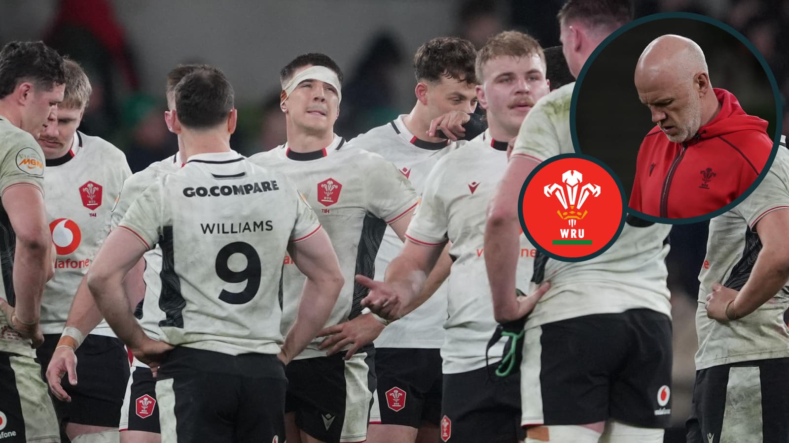What Steve Tandy made of two contentious decisions that hurt Wales in ...