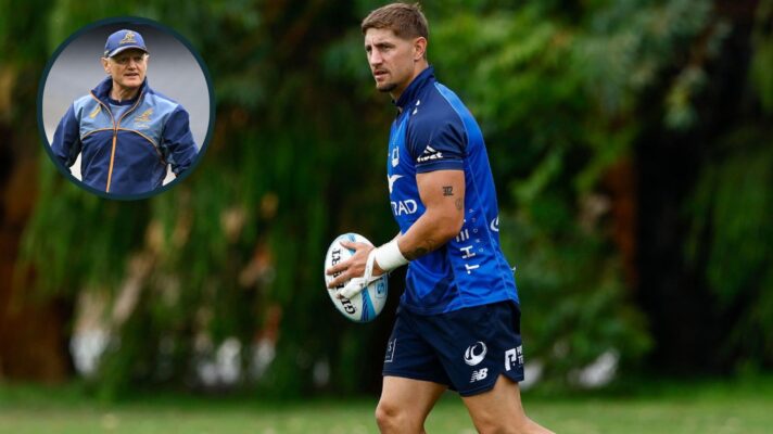 Joe Schmidt and Zac Lomax image