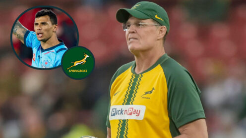 Springboks: Consistently overlooked star finally gets his chance as Rassie Erasmus names two newbies in alignment camp squad