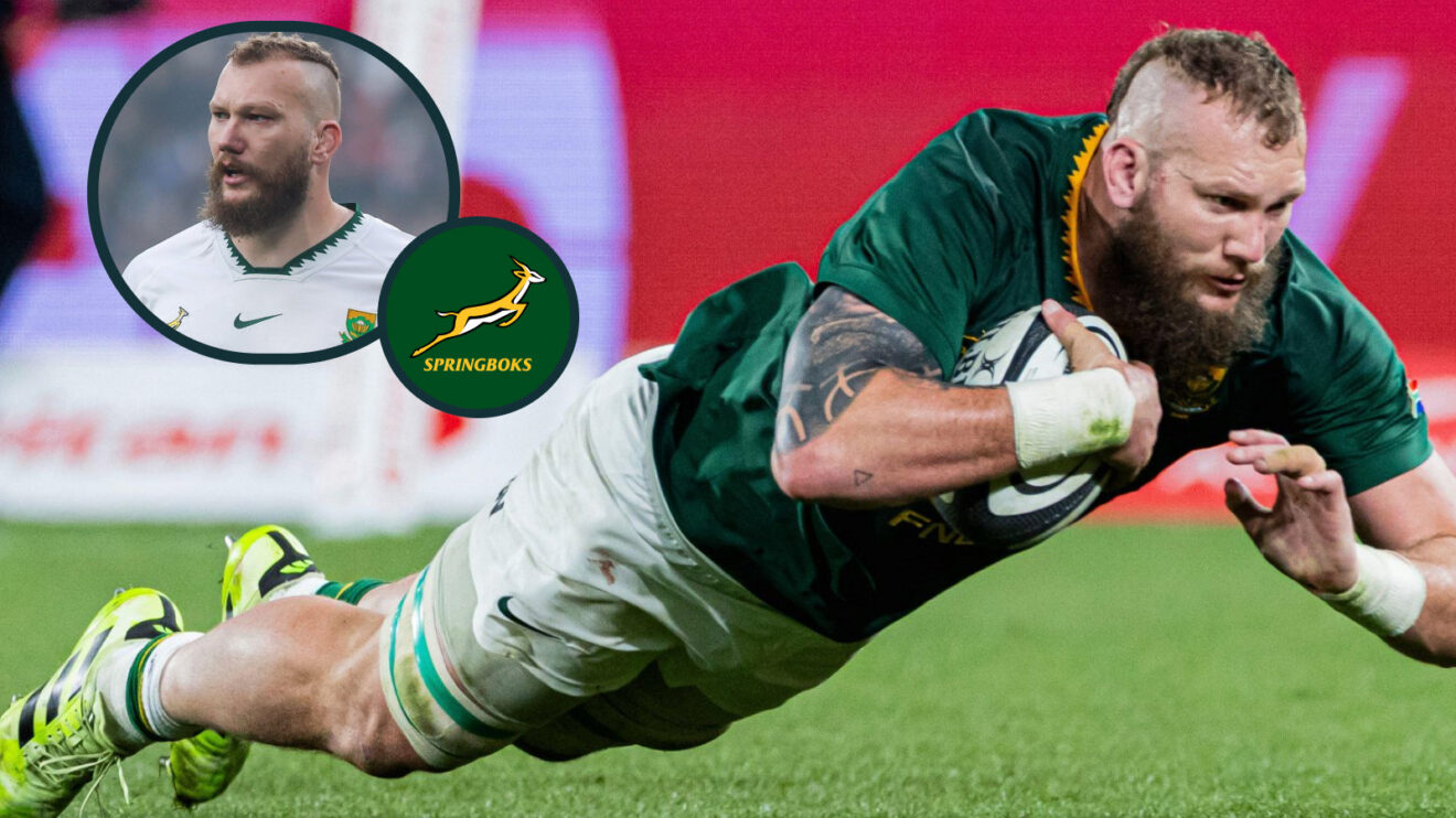RG Snyman image