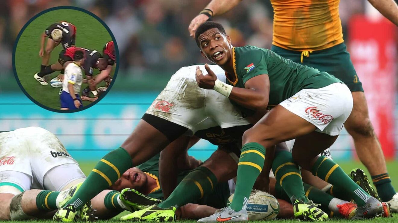 Springboks scrum-half Grant Williams and an inset of Crusaders nine Noah Hotham.