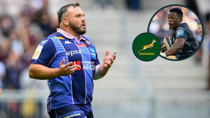 Carlu Sadie and Phepsi Buthelezi called into Springboks squad.