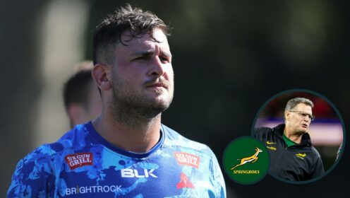 Springboks add Stormers lock Adre Smith to squad.