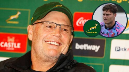 Springboks head coach Rassie Erasmus and Lions full-back Quan Horn (inset).