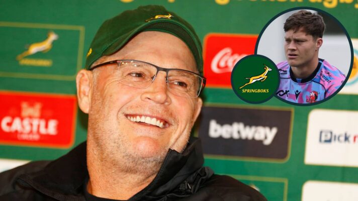 Springboks head coach Rassie Erasmus and Lions full-back Quan Horn (inset).