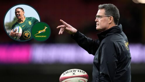 Springboks head coach Rassie Erasmus and an inset of SA'A winger Jaco Williams.