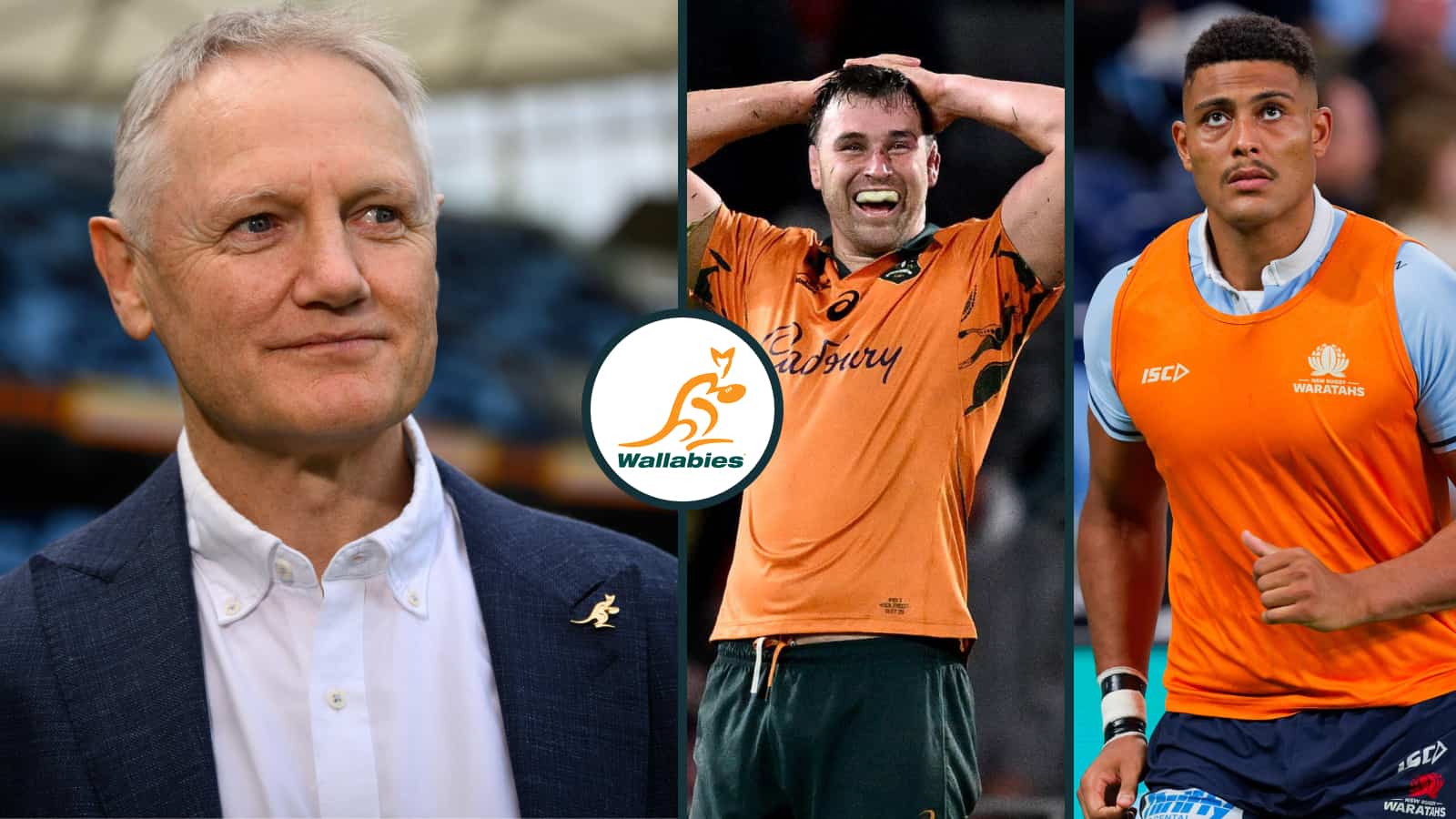 Wallabies squad: Winners and losers including Joe Schmidt's most 'significant snub' as brawler recruited to fill Will Skelton's 'gigantic void'