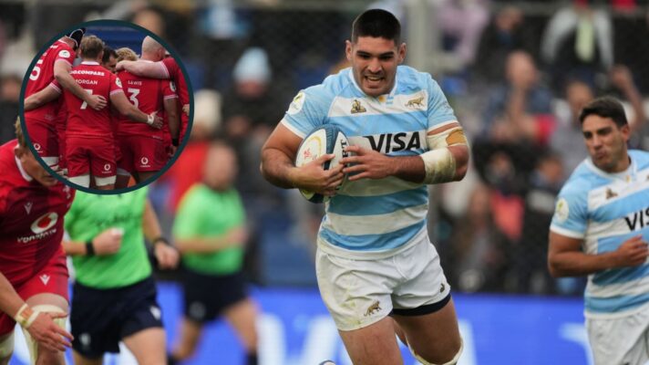 Argentina number eight Joaquin Oviedo impressed against Wales.
