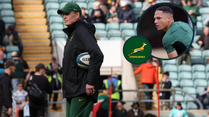 Rassie Erasmus and Herschel Jantjies image