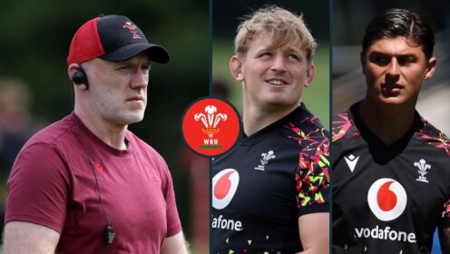 Predicted Wales team v Springboks: Louis Rees-Zammit among key changes with Steve Tandy to make ‘crucial’ selection amid captaincy loss