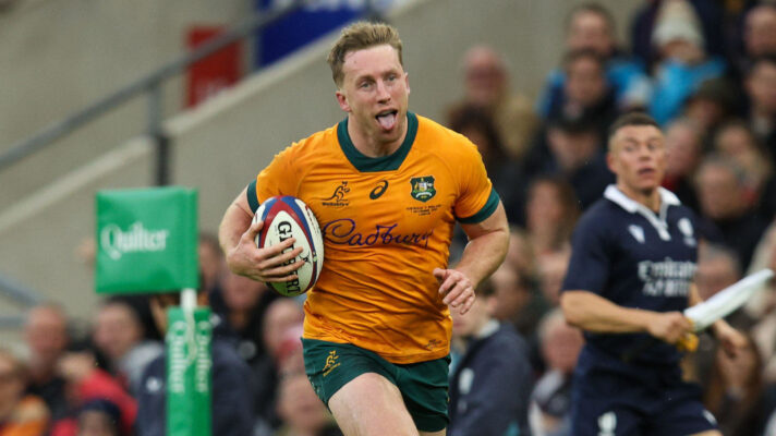 Wallabies wing Harry Potter.