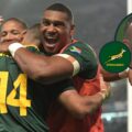 Springboks Player Ratings vs Wales 2026: Rookies Shine
