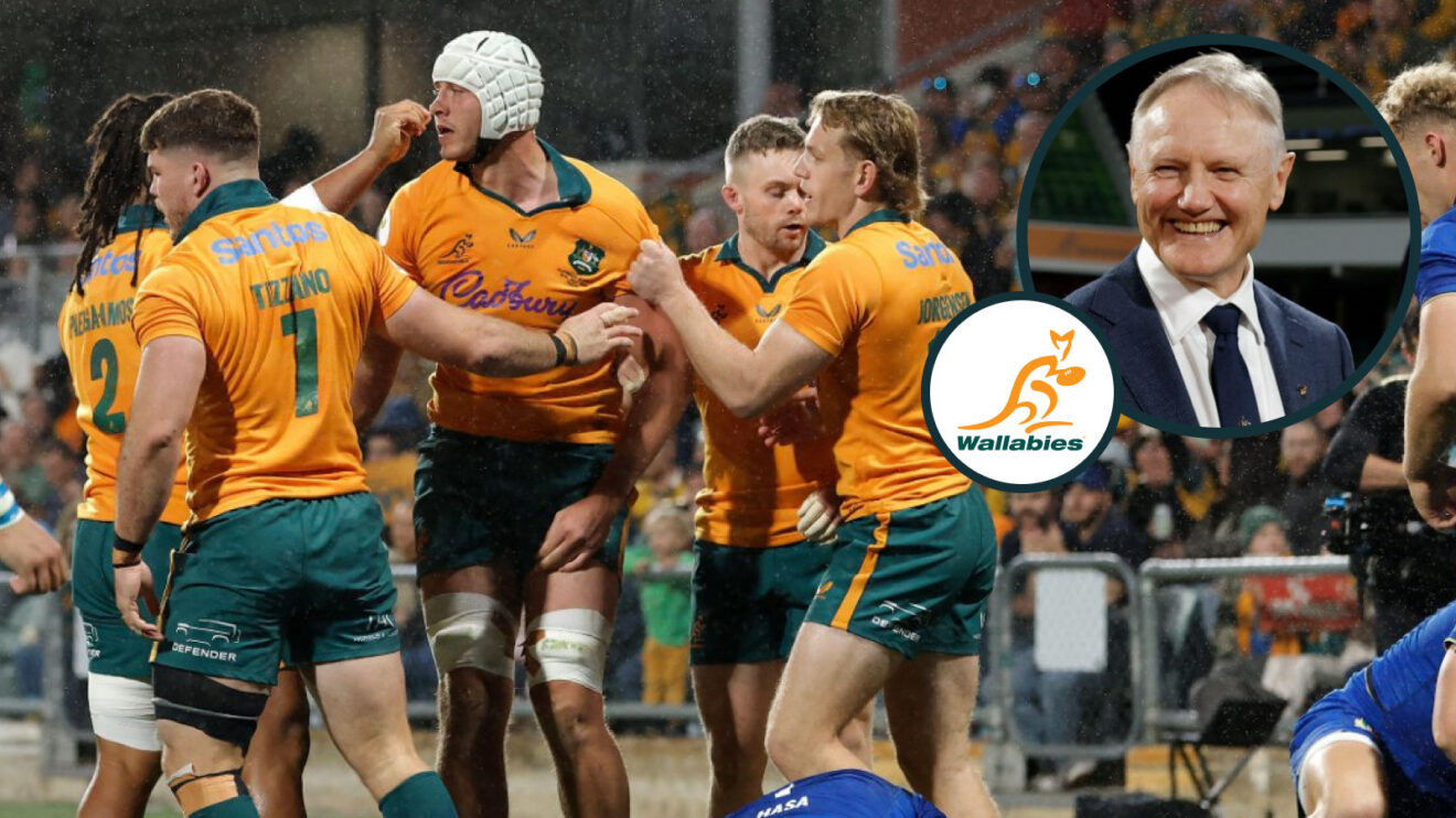 Wallabies and Joe Schmidt image