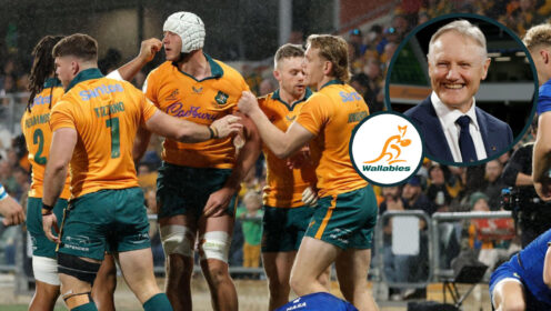 Wallabies and Joe Schmidt image