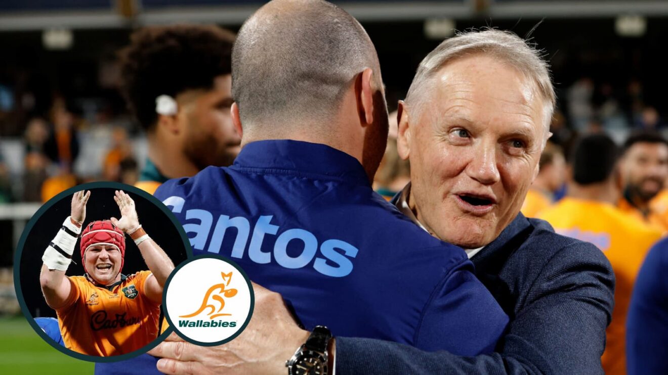 Wallabies head coach Joe Schmidt celebrates win over Italy.