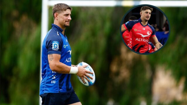 Zac Lomax Western Force image