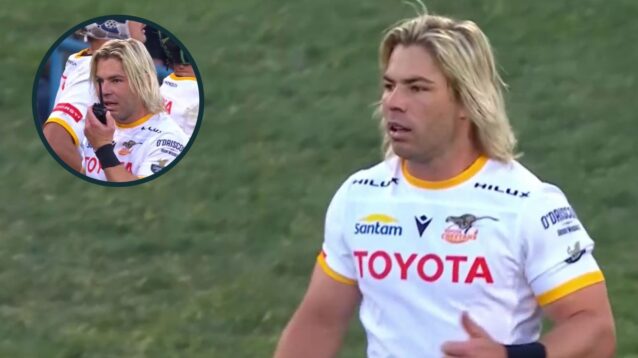 Cheetahs and Springboks scrum-half Faf de Klerk