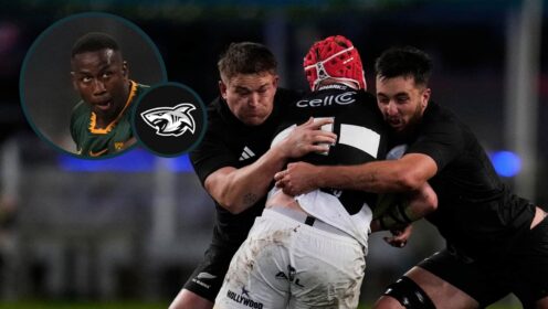 Sharks player ratings v All Blacks: Where the ‘gulf in class’ was most evident as Springboks rookie is ‘outplayed’ while Ma’a Nonu produced flashes of brilliance