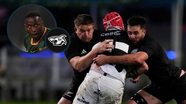 Sharks player ratings v All Blacks: Where the ‘gulf in class’ was most evident as Springboks rookie is ‘outplayed’ while Ma’a Nonu produced flashes of brilliance