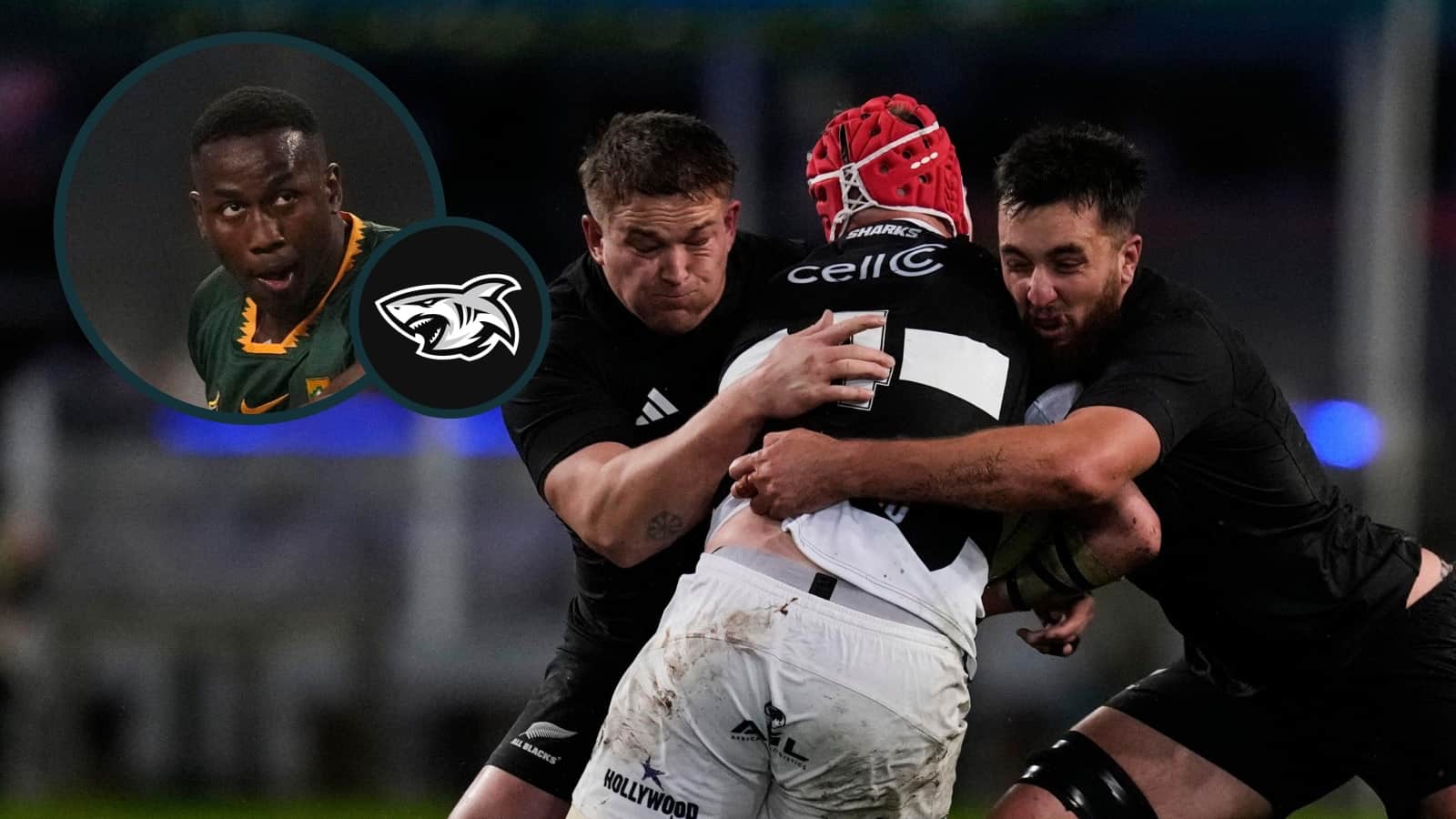 Sharks player ratings v All Blacks: Where the 'gulf in class' was most evident as Springboks rookie is 'outplayed' while Ma'a Nonu produced flashes of brilliance