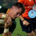 Rassie Erasmus releases Springboks pair for Bulls duty, forcing Johan Ackermann into late changes for All Blacks showdown