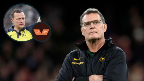 Springboks head coach Rassie Erasmus and an inset of referee Matthew Carley.