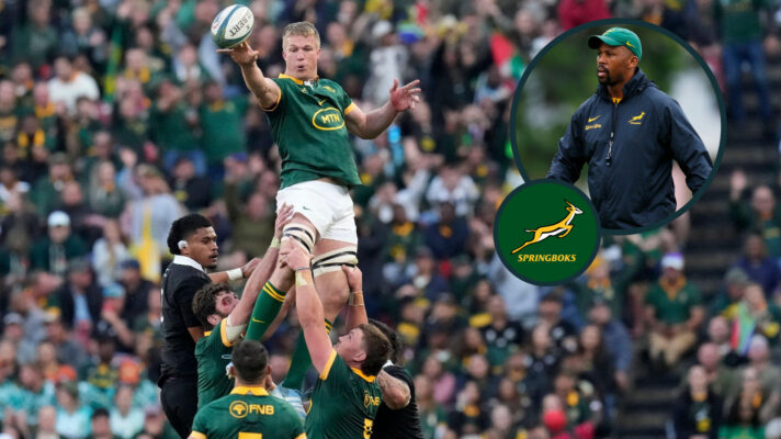 Pieter-Steph du Toit and Mzwandile Stick image