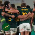 Nick Mallett: Springboks’ World Cup places on the line in Cape Town as losing is unacceptable