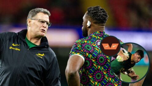 two layer Springboks image