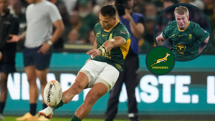 Cheslin Kolbe and Pieter-Steph du Toit image