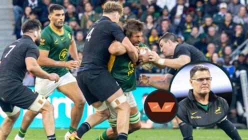 two layer springboks rugby image