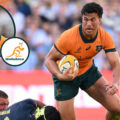 Wallabies team: Les Kiss makes several changes for Argentina rematch as Joseph-Aukuso Suaalii returns and full-back hits milestone