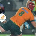 Wallabies player ratings v Argentina: ‘Busy back row’ the standout in a draw hampered by ‘baby steps’ attack
