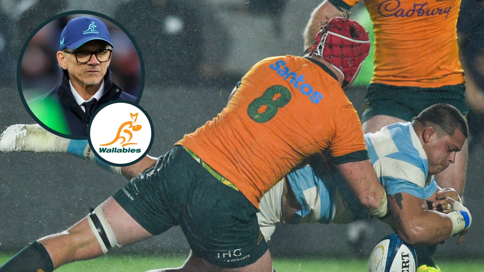 Wallabies player ratings v Argentina: ‘Busy back row’ the standout in a draw hampered by ‘baby steps’ attack