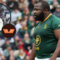 ‘You’ve got to give Ox Nche his flowers’ – All Blacks star hails impact of Springboks ‘freak’