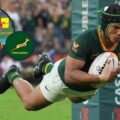 Springboks player ratings: Kurt-Lee Arendse and Morne van den Berg ‘wreak havoc’ as Rassie Erasmus’ men secure historic series victory