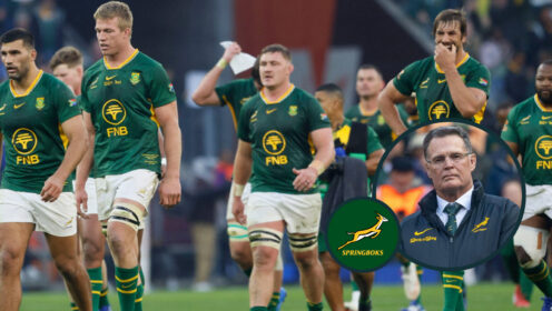 Springboks and Rassie Erasmus RGR image