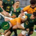 Springboks player ratings: Rookie forward ‘the shining light’ as world champions suffer shock defeat to Wallabies