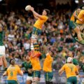 World Rugby rankings: Wallabies usurp Six Nations side and what Springboks defeat means for All Blacks