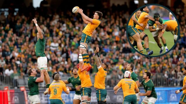 Wallabies lock Jeremy Williams wins a lineout against Springboks.