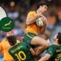 Nick Mallett: Two areas where the Springboks were ‘poor’ which Rassie Erasmus can normally bank on